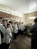 Практическое занятие по чипированию овец