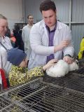 Экскурсия в ветеринарную клинику Владимирского аграрного колледжа