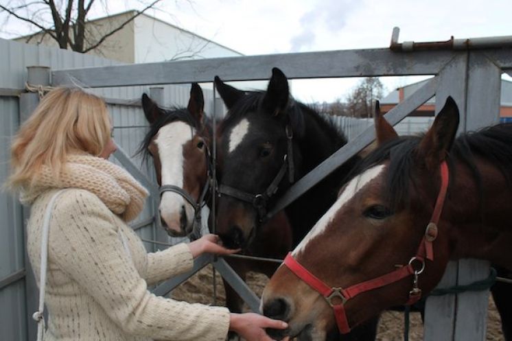 Экскурсия на Владимирскую государственную конюшню