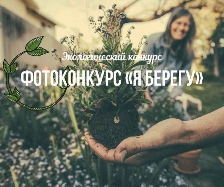 Конкурс фотографий