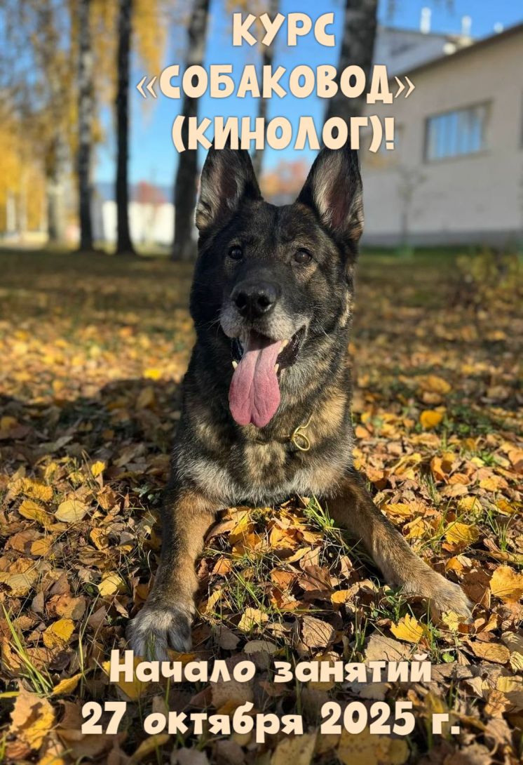 ВНИМАНИЕ! ИНФОРМАЦИЯ ДЛЯ ТЕХ, КТО ЗАПИСАЛСЯ НА КУРС «СОБАКОВОД» (КИНОЛОГ)!