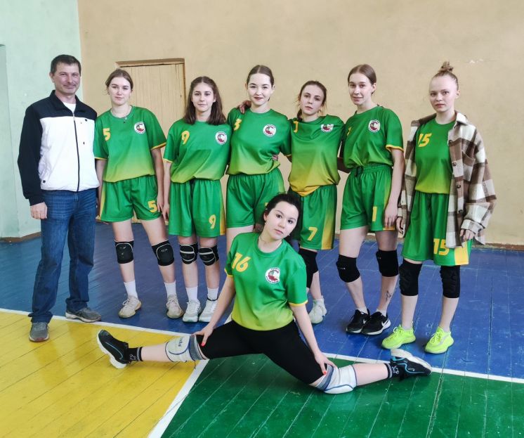 Соревнования по волейболу (2 лига) среди девушек студенческих спортивных клубов Владимирской области