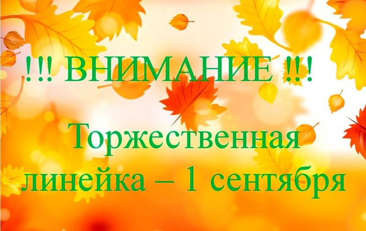 Торжественная линейка 1 сентября