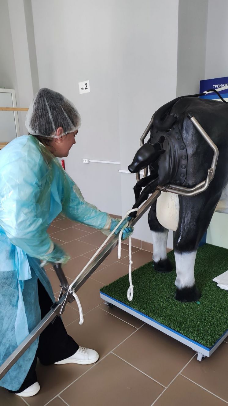 Демонстрационный экзамен 2026