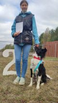 Успешное выступление юного кинолога на соревнованиях