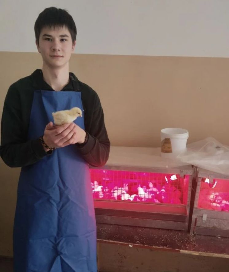 Опытно-экспериментальная работа в ветеринарной клинике колледжа